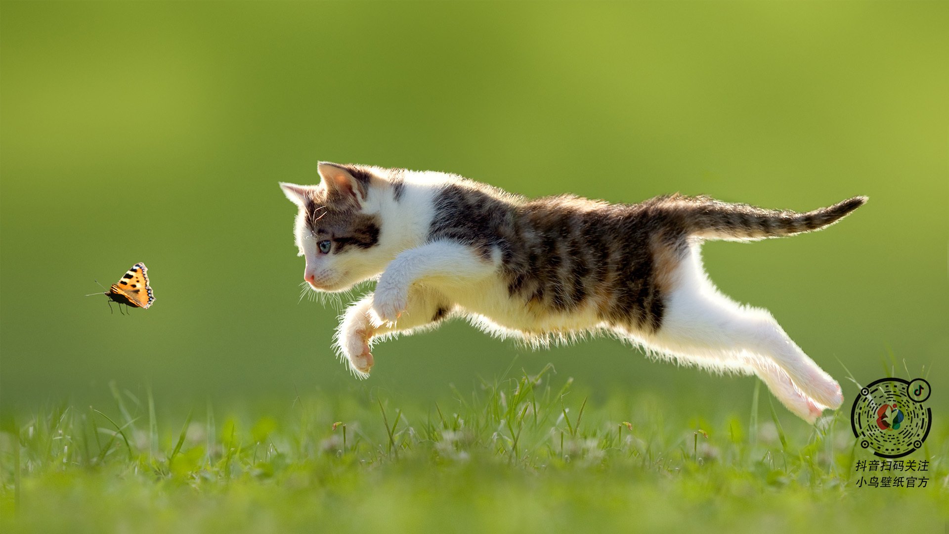 灰熊终结雄鹿,恩比德如何上演唯一剧本,成为终极关键先生?